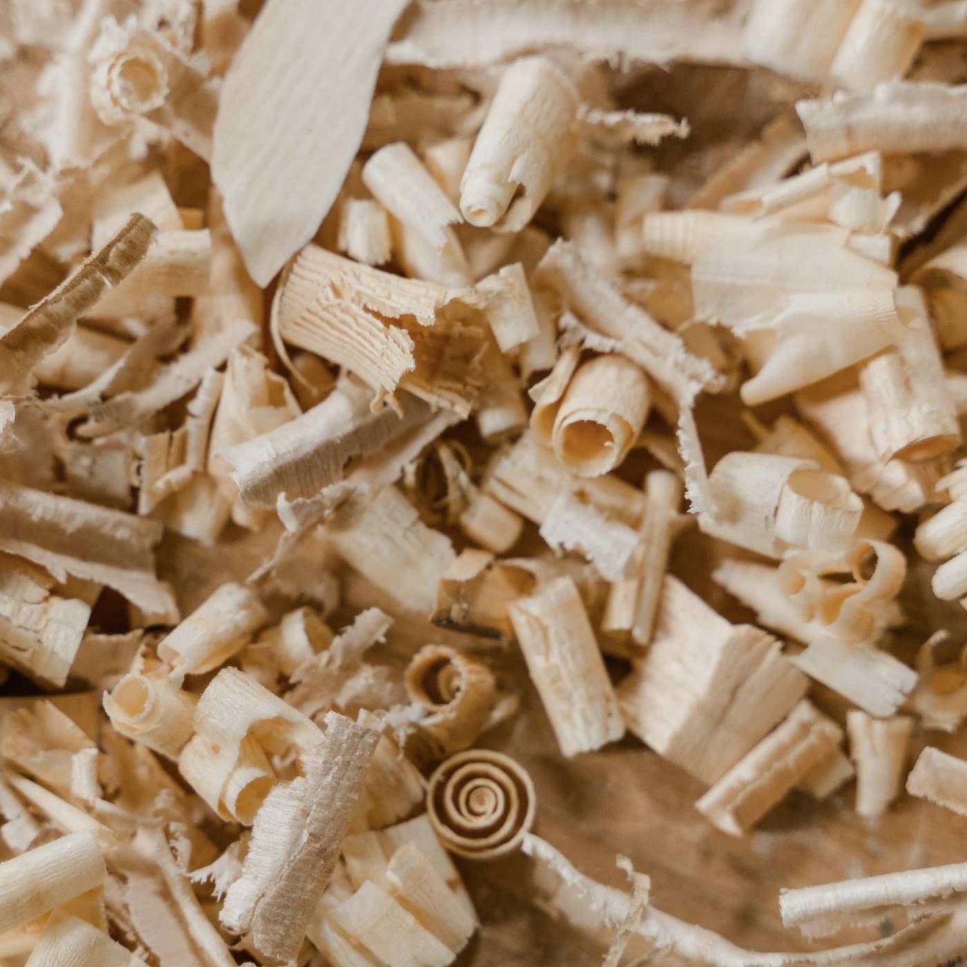 wood-shavings